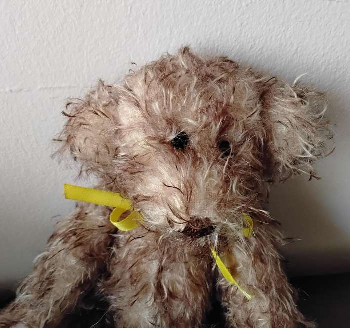 Vintage Collectable Teddy Bears