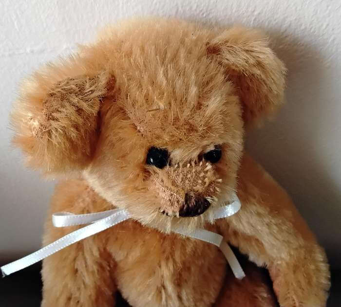 Vintage Collectable Teddy Bears
