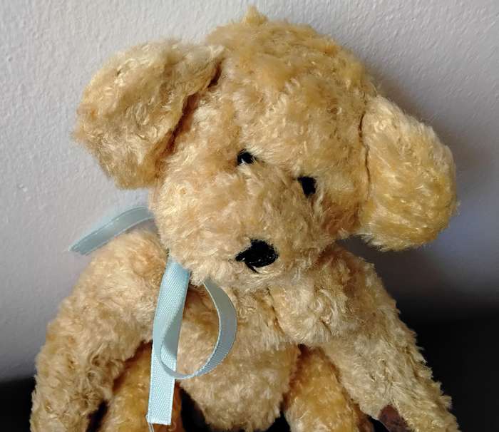 Vintage Collectable Teddy Bears
