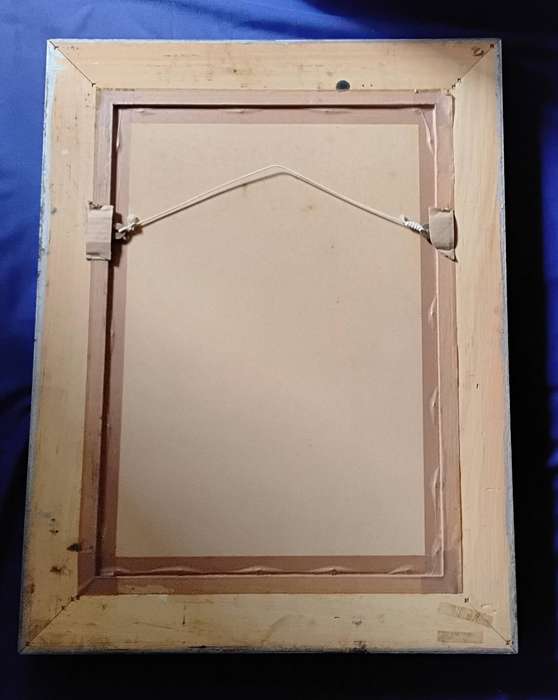Framed Illustration Plate Print - A Natural History of Barbados