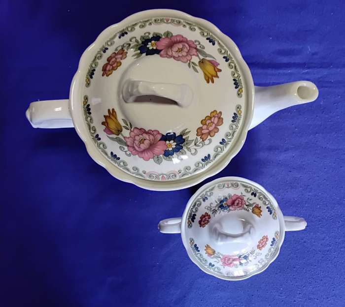 Pontesa Ironstone - Spain - Vintage Chinamoda Floral Design Tea Set 21 Pieces