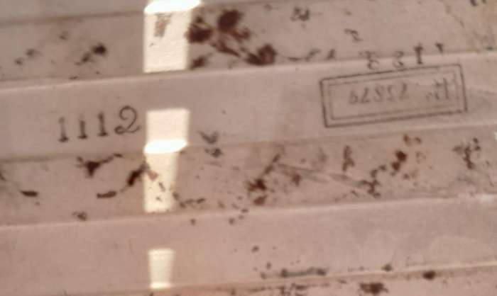 Antique Victorian  Print and Tint Floral Wall Tile