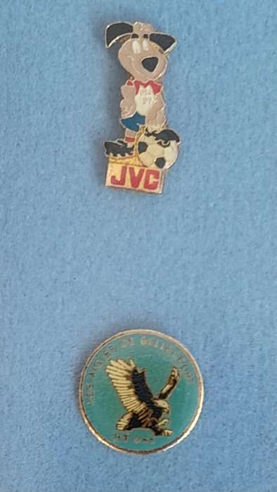 Vintage Assorted Collectable Enamel Lapel Pins 12 Pieces  - Framed