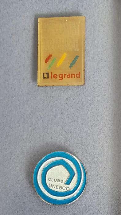 Vintage Assorted Collectable Enamel Lapel Pins 12 Pieces  - Framed