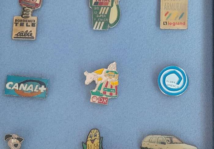 Vintage Assorted Collectable Enamel Lapel Pins 12 Pieces  - Framed
