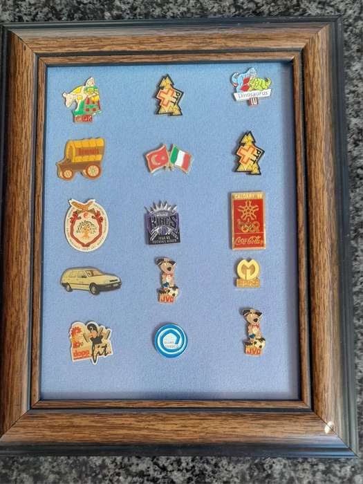 Vintage Assorted Collectable Enamel Lapel Pins 15 Pieces - Framed
