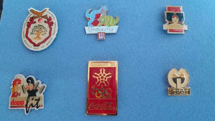 Vintage Assorted Collectable Enamel Lapel Pins 14 Pieces - Framed