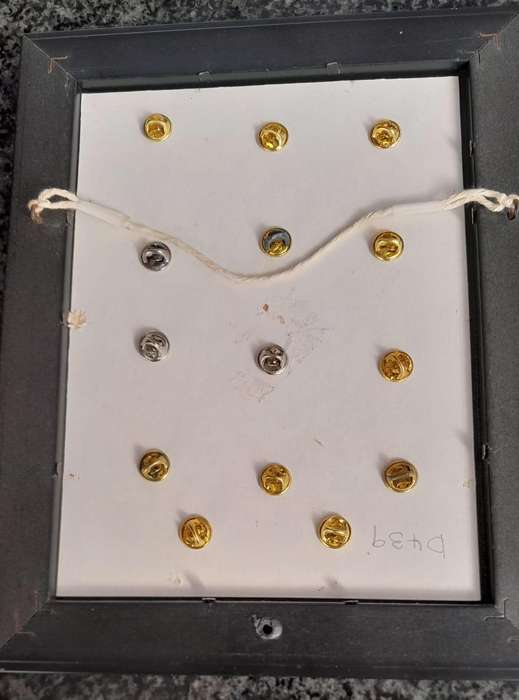 Vintage Assorted Collectable Enamel Lapel Pins 14 Pieces - Framed