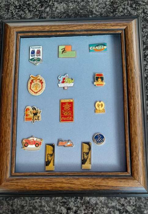 Vintage Assorted Collectable Enamel Lapel Pins 14 Pieces - Framed