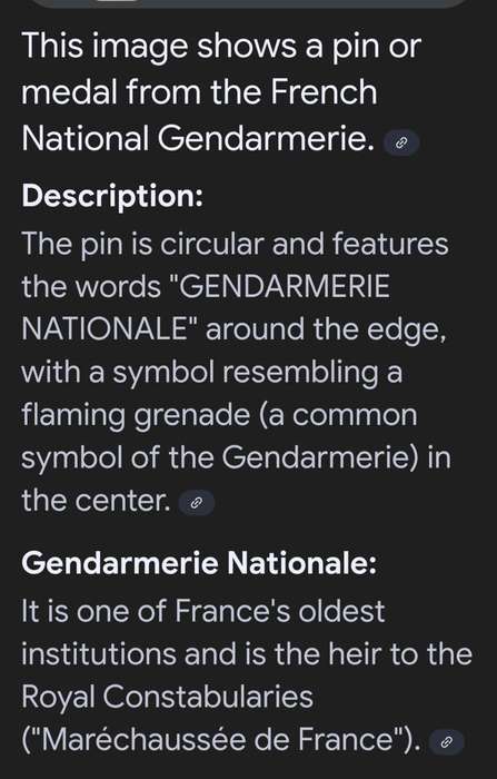 French National Gendarmerie Lapel Pin