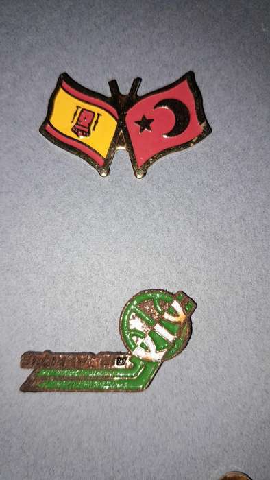 Vintage Assorted Collectable Enamel Lapel Pins 9 Pieces  - Framed
