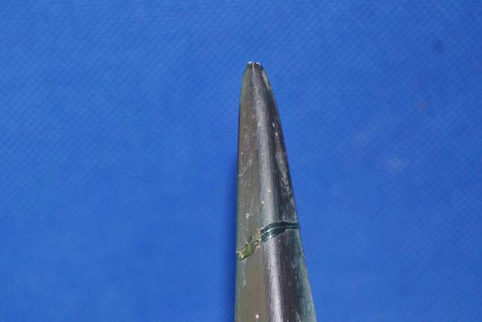 Vintage Model of a Sailfish