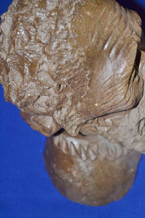 Vintage Sculpted Clay Bust - African Man - Signed