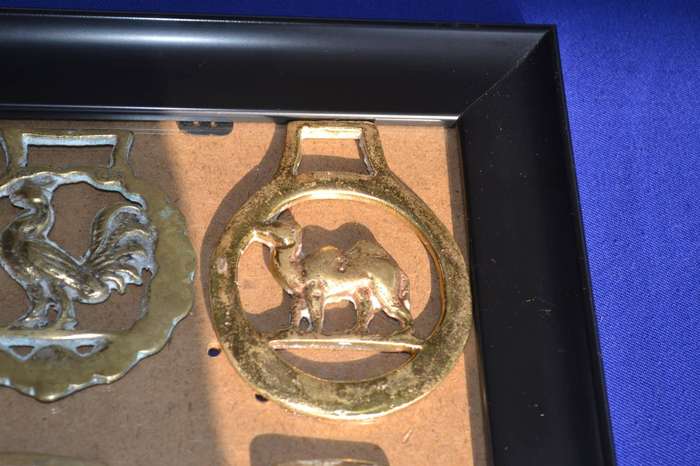 Vintage Horse Brasses Framed on Glass - 4 Pieces