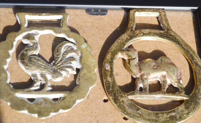 Vintage Horse Brasses Framed on Glass - 4 Pieces