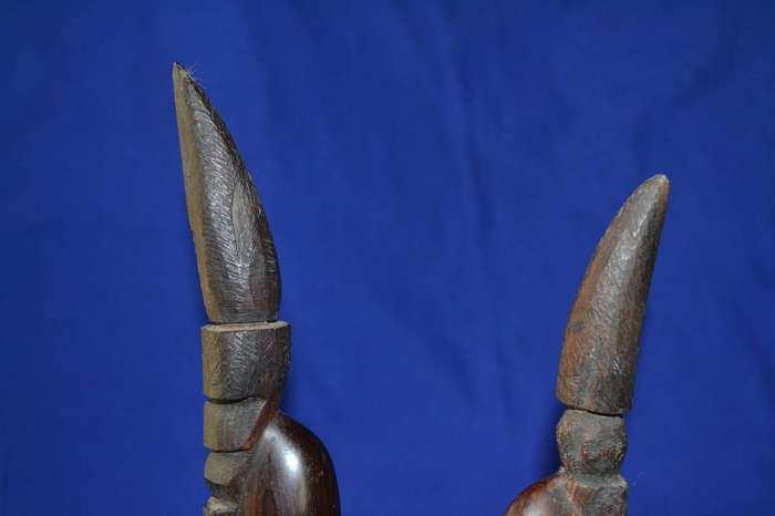 Carved Wooden African busts