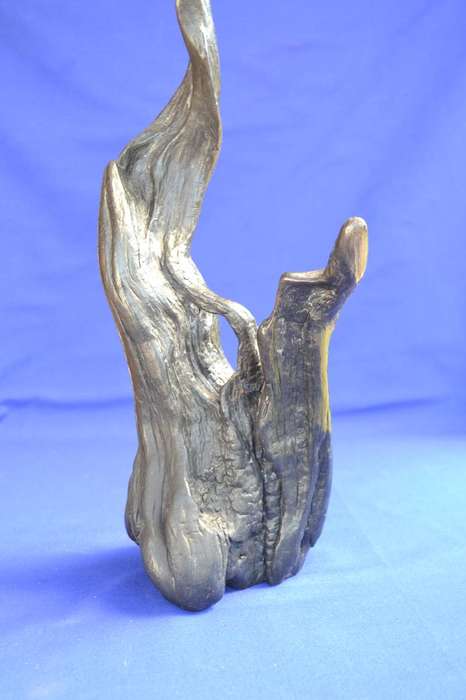 Japanese Charred Cedar Root Sculpture