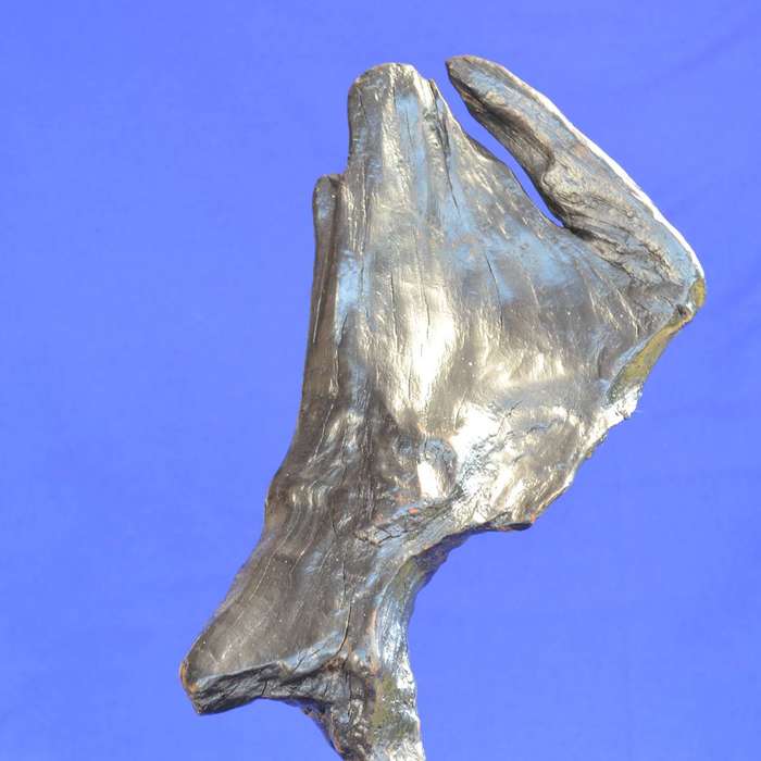 Japanese Charred Cedar Root Sculpture