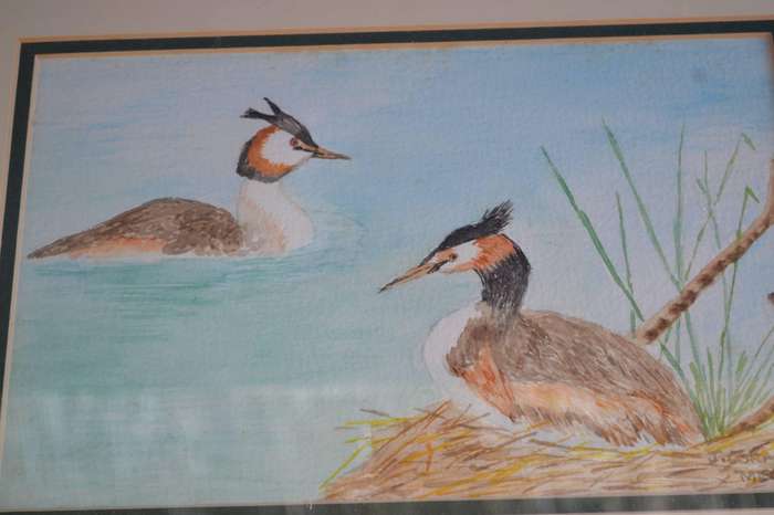 Original Paintings Signed by the Artist x 3