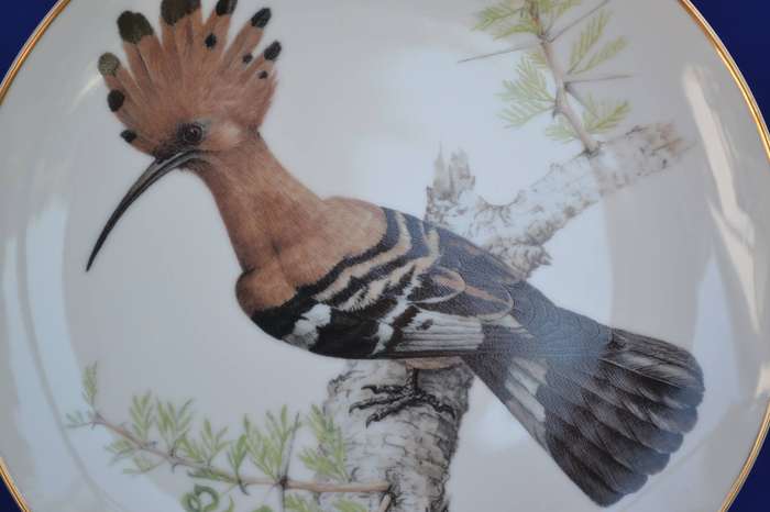 Heritage Porcelain Best Loved Birds of Southern Africa Collectors Plate - African Hoopoe