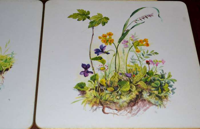 Vintage Boxed Set of 8 Sheraton Table / Place Mats Country Flowers