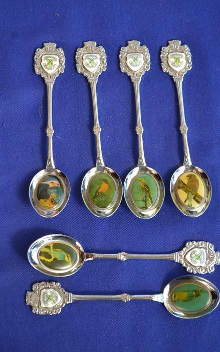 South African Border Duty / Grensdiens Collectable Spoons - Set of 6