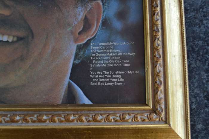 Frank Sinatra Vintage Vinyl Record Covers - Framed
