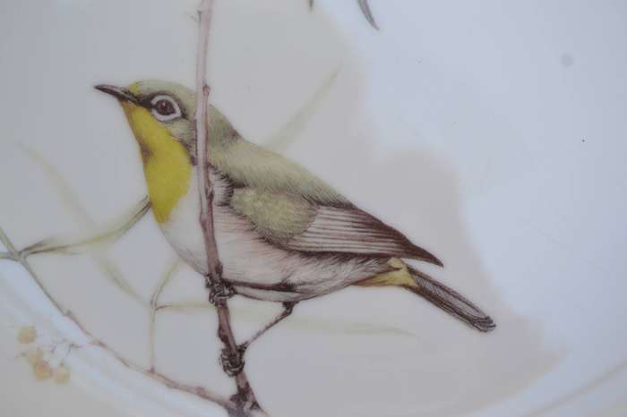 Heritage Porcelain Best Loved Birds of Southern Africa Collectors Plate - Cape White Eye