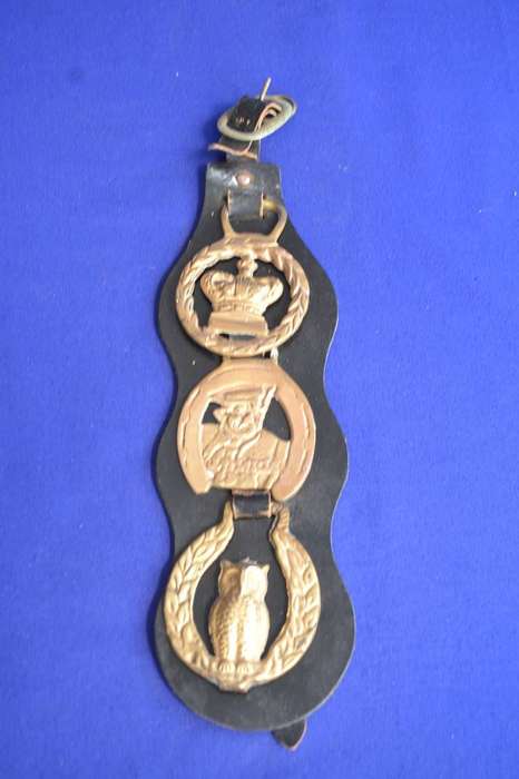 Three  Vintage Horse Brasses on Leather Strap