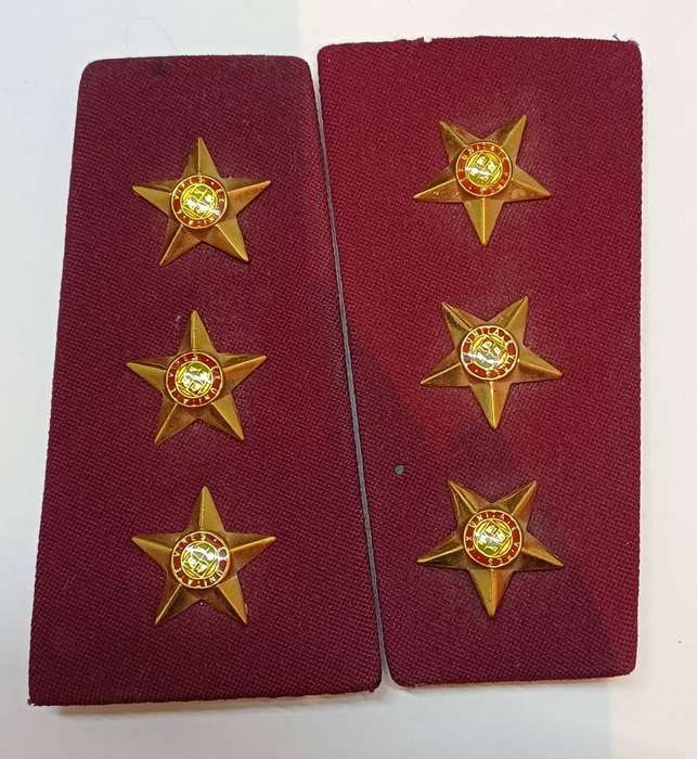 Various  SADF Pips and Insignia