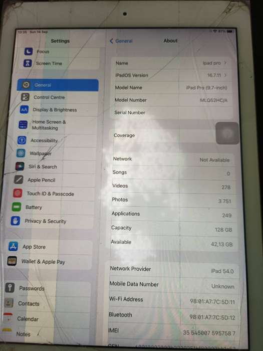 Apple iPad Pro 9.7" (1st Gen)  A1674
