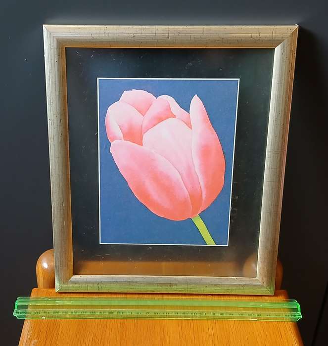 Pictures framed in glass x 8