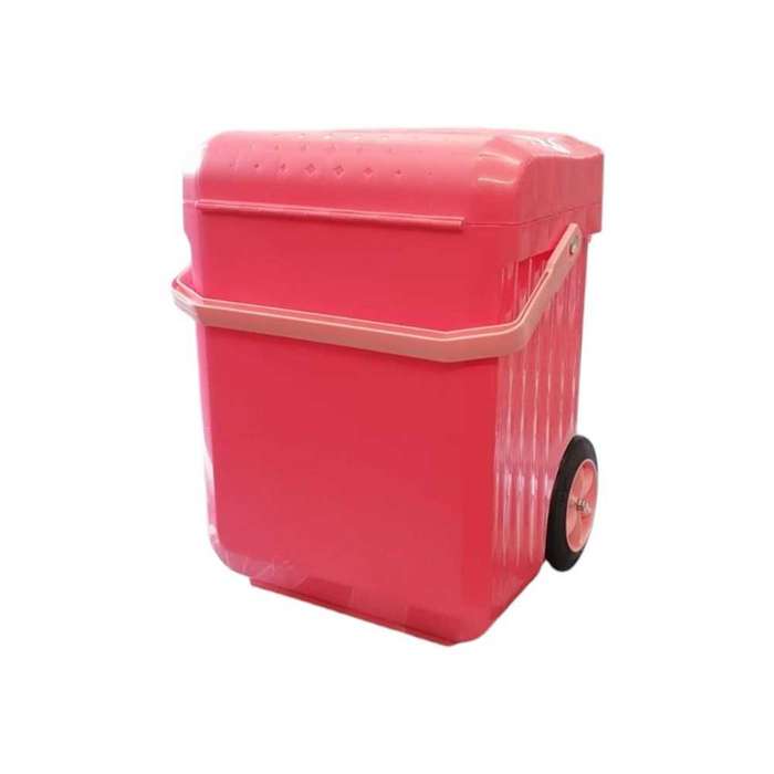 Weelie School trolley bag