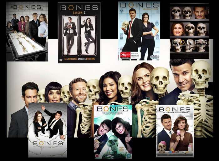 Bones Season 1 to 7