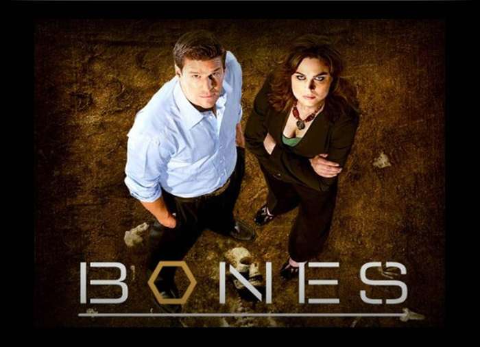 Bones Season 1 to 7