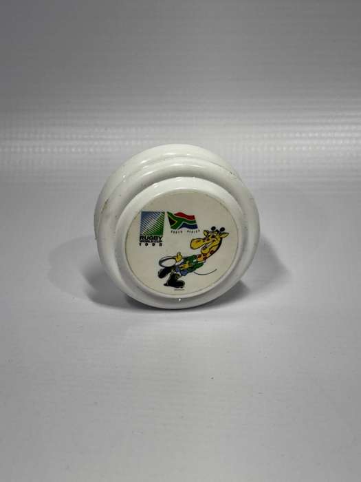Rugby 1995 world cup champions YOYO