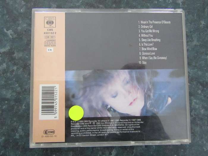 Alison Moyet - Raindancing (CD)