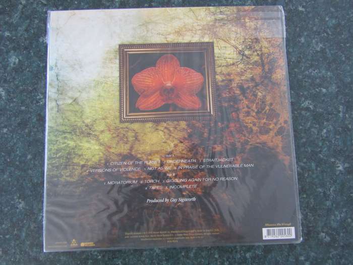 Alanis Morissette  Flavors Of Entanglement (Vinyl LP)