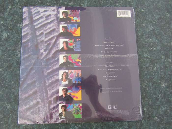 Chicago  Chicago 19 (Vinyl LP)
