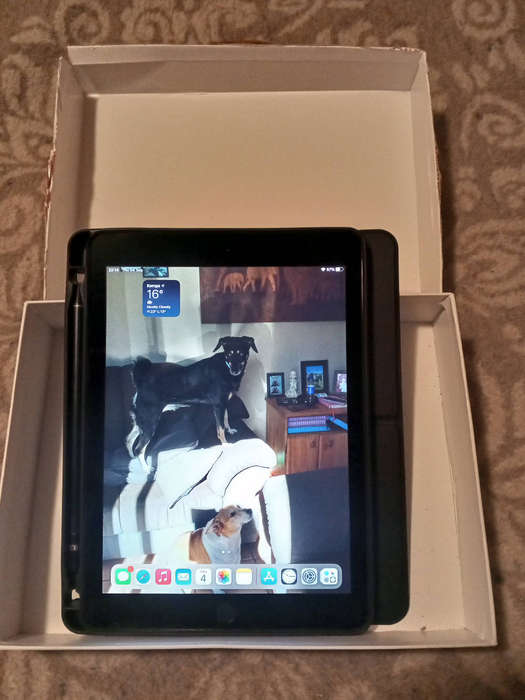 iPad air 2