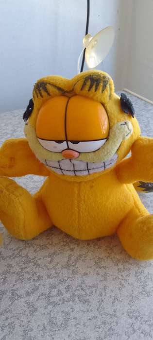 2 x Garfield Soft Toys