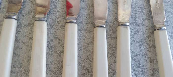 Silver Plated Fish Cutlery Set