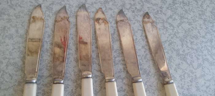 Silver Plated Fish Cutlery Set