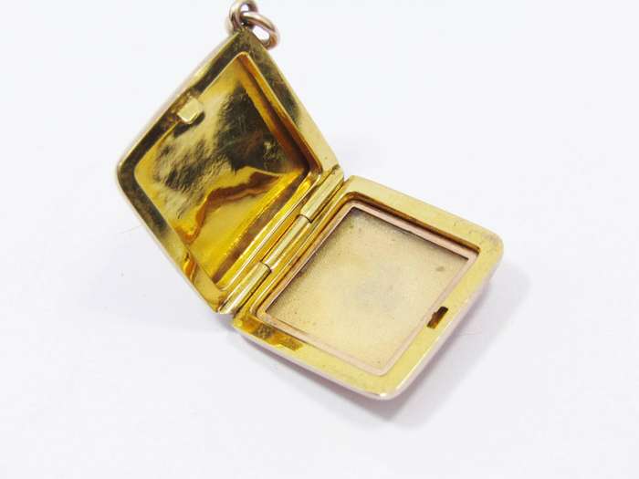 Antique/Vintage 9CT Rose Gold & Ruby Locket Pendant