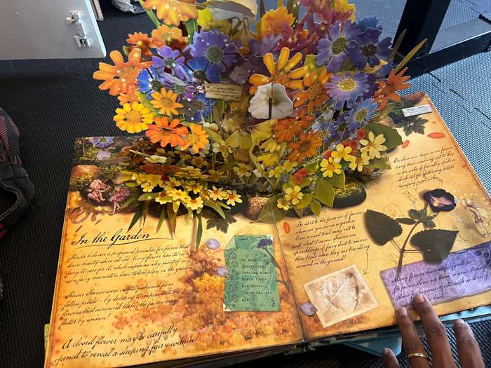 Pop up books bundle