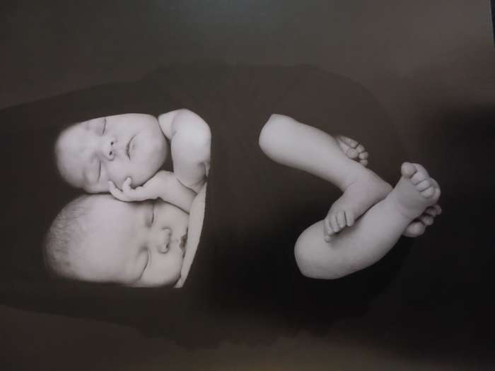 PureAnne Geddes