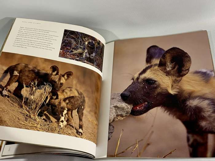 The Ultimate African Wildlife - Nigel Dennis