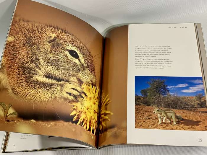 The Ultimate African Wildlife - Nigel Dennis