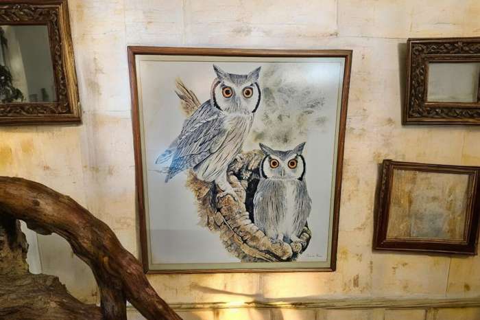 Owl Print by Chris van Rooyen