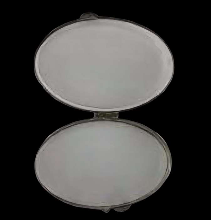 Antique silver plate oval-shaped vesta case